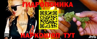 скорость Кандалакша