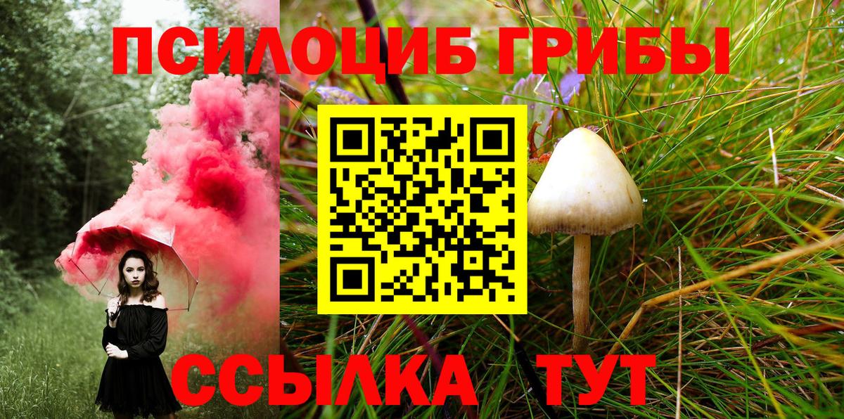 Псилоцибиновые грибы мухоморы Кириши